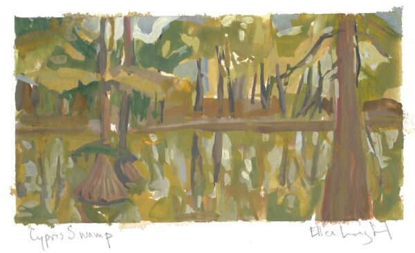 Cypress Swamp