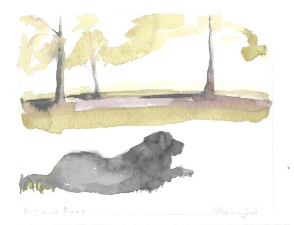 Dog and Pines