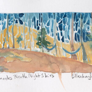 Hammocks 'Neath Night Skies