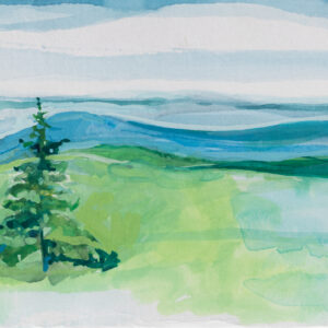 Just North of Roanoke