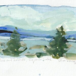 Pines and Islands, Squam Lake