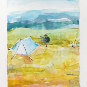 Tent in Chesnut Knob Shelter