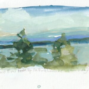 Two Pines from Up on Rattlesnake